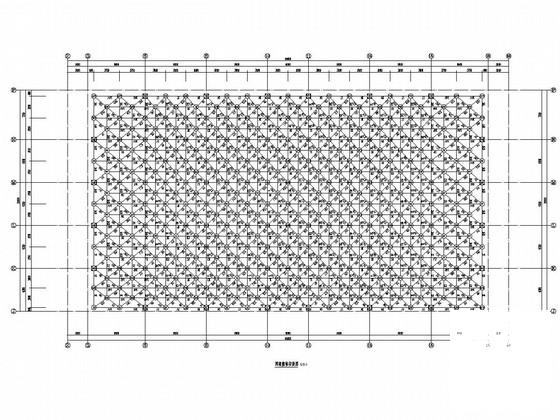 屋面网架结构施工 - 3