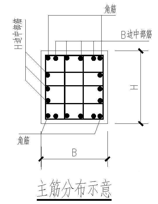 主筋分布示意图 - 1