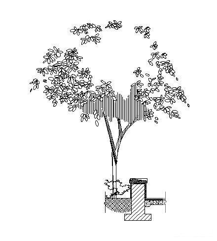 围树坐凳施工图 - 2