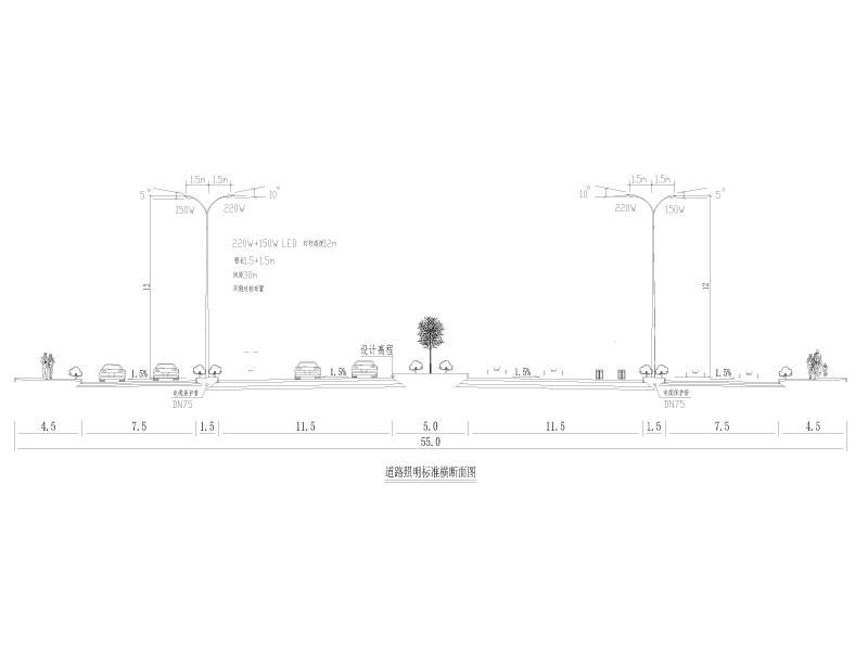 道路照明标准横断面图