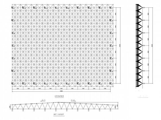 单层网架结构 - 2