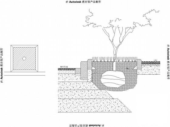 20m宽城市支路景观工程设计CAD图纸(dwg)