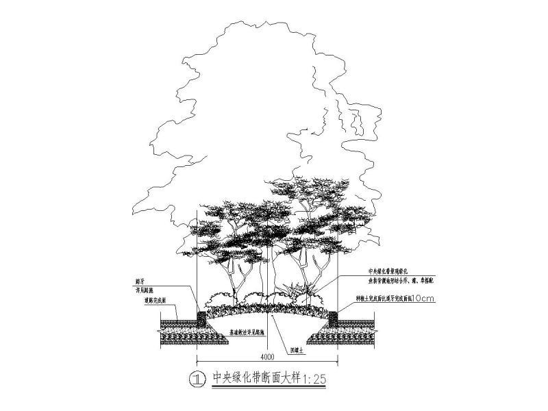 中央绿化带断面大样图