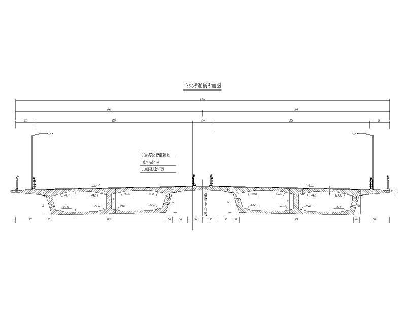 主梁标准横断面