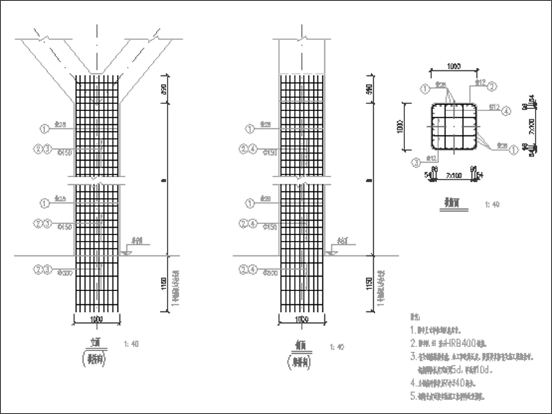 墩柱钢筋布置图