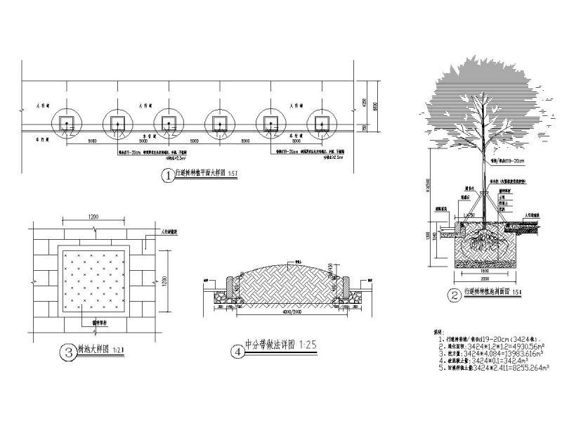行道树种植池及中分带大样图