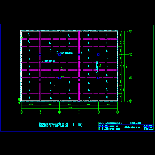 楼盖平面布置图.dwg