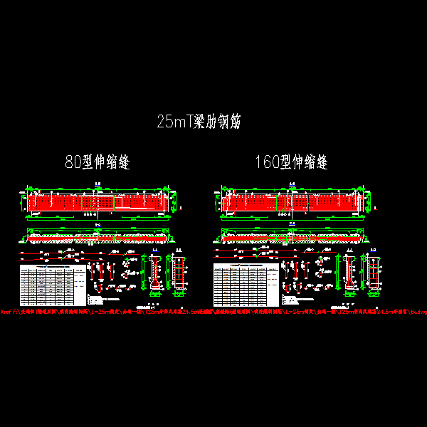 p12～13 t梁梁肋钢筋布置图（一）～（二）.dwg