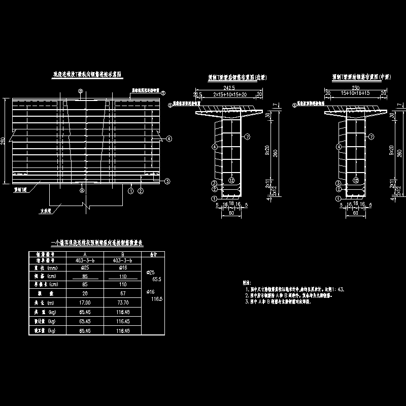 35 50m刚构墩顶连续段钢筋（二）.dwg