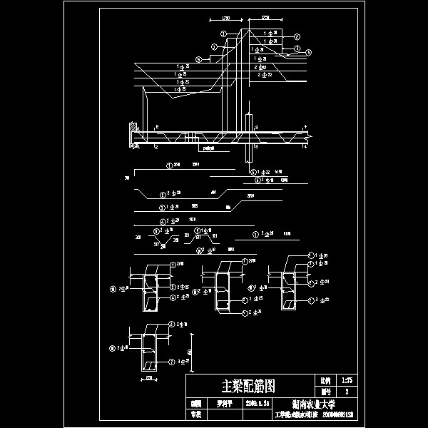 主梁配筋图.dwg