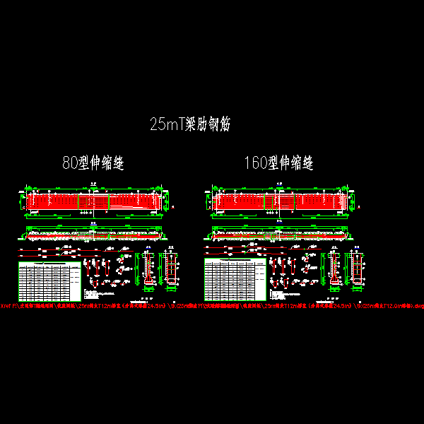 p12～13 t梁梁肋钢筋布置图（一）～（二）.dwg