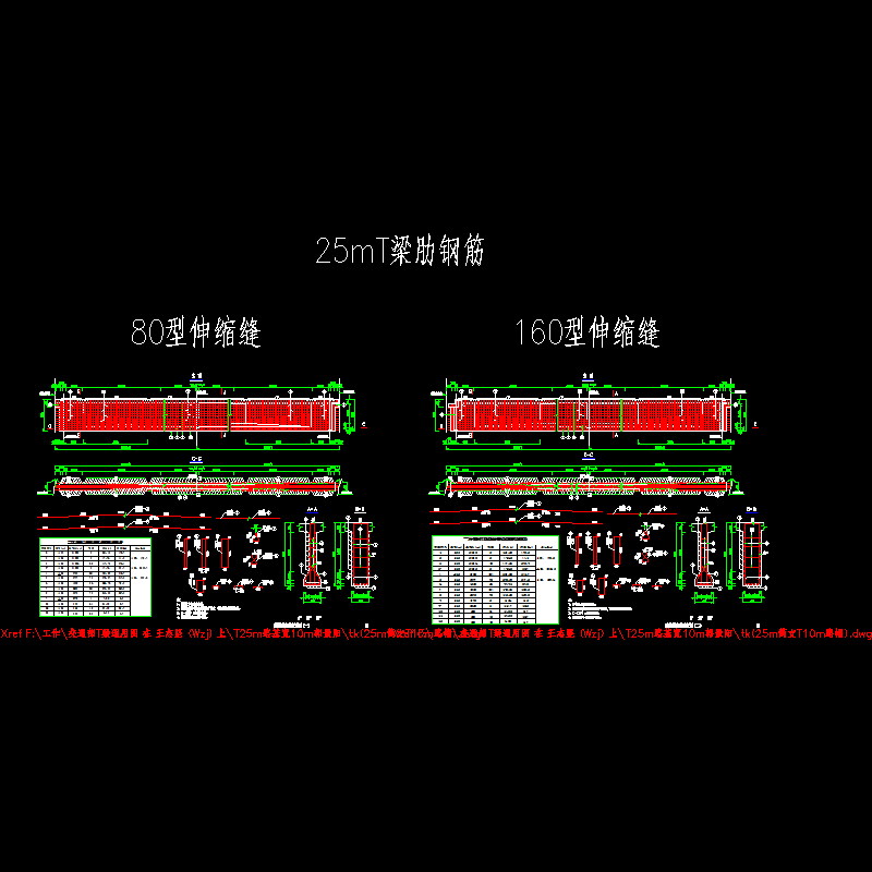 p12～13 t梁梁肋钢筋布置图（一）～（二）.dwg