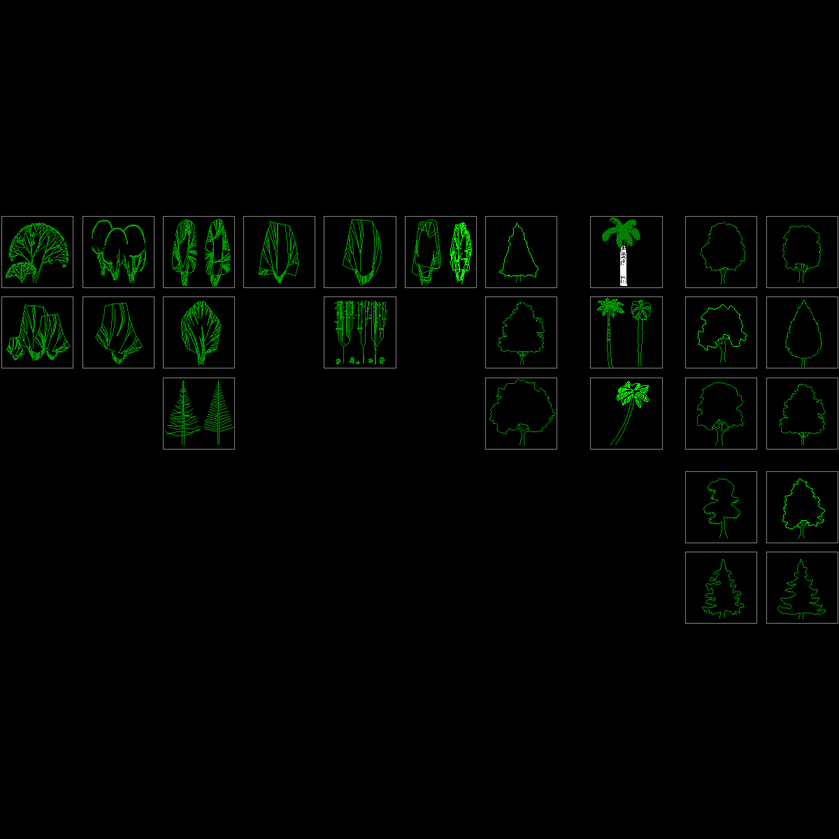 植物立面zxx222.dwg