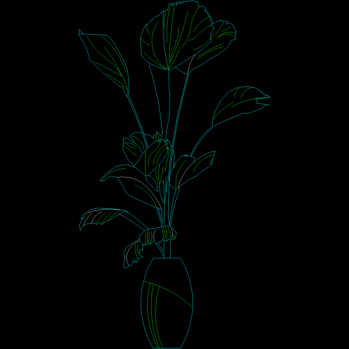 [CAD]盆栽植物图纸块6