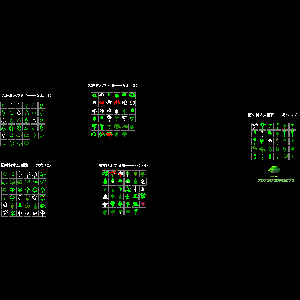 1-园林树木立面图-乔木.dwg