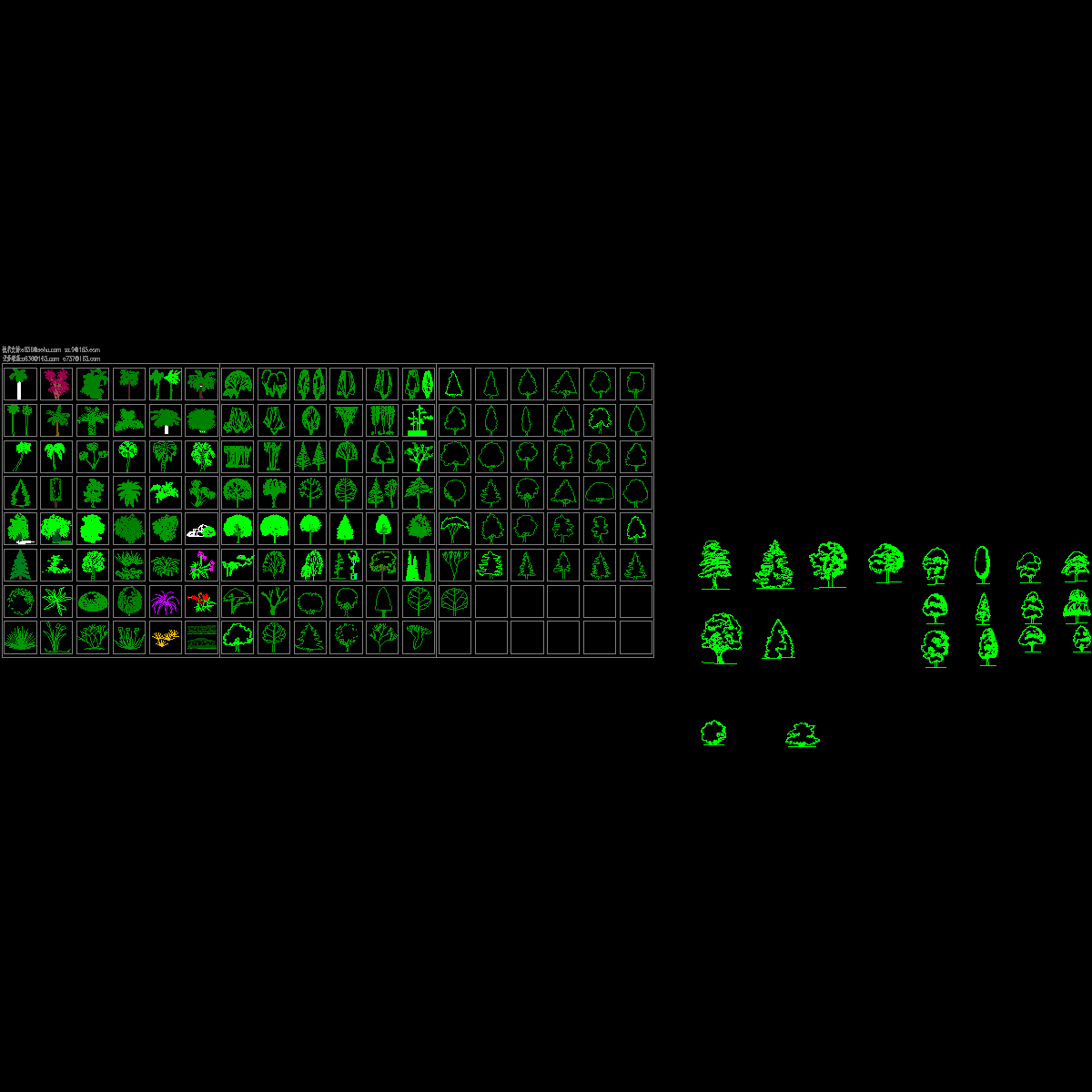 植物立面.dwg