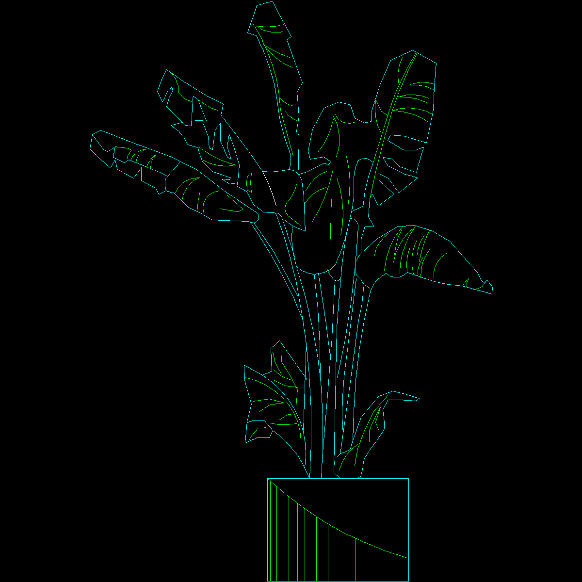 [CAD]盆栽植物图纸块11