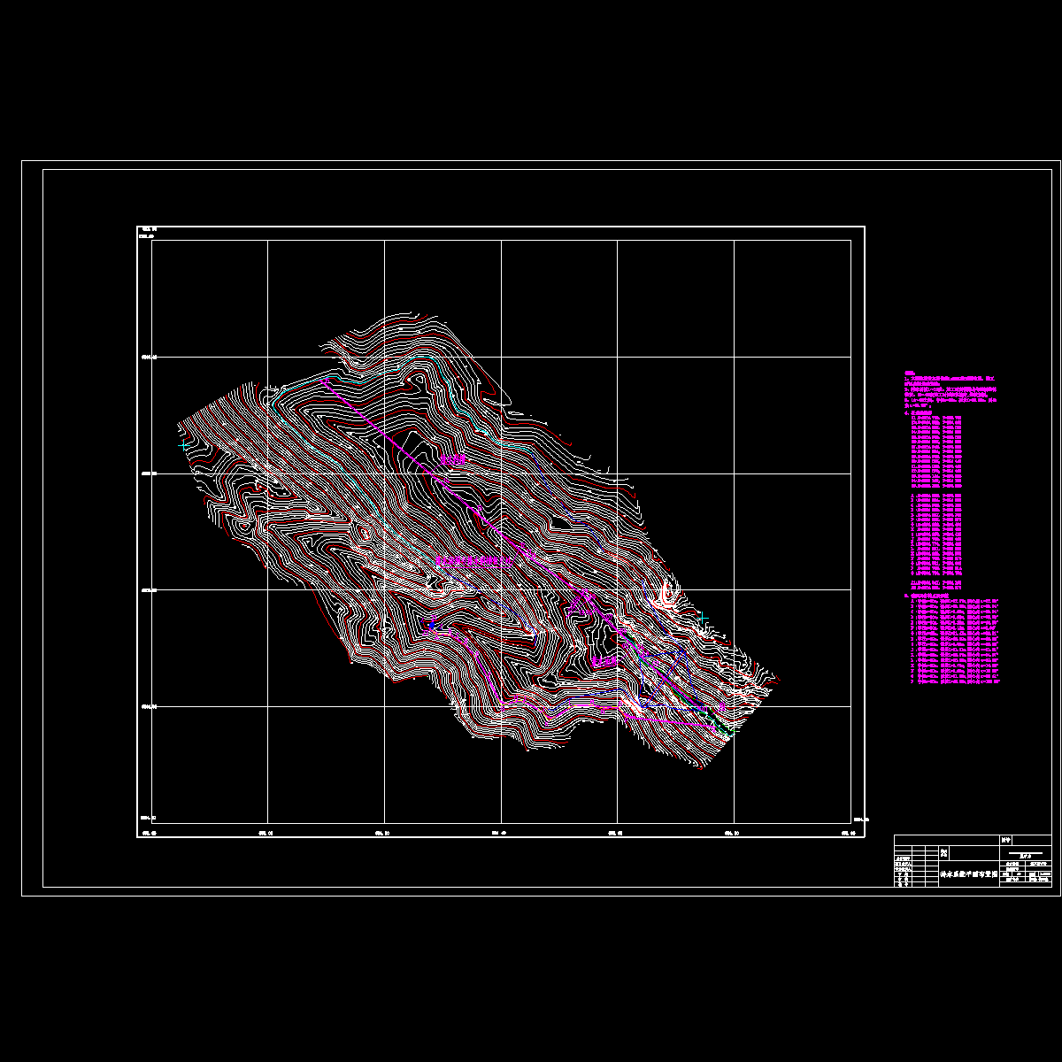 尾矿库排水斜槽平面布置图.dwg