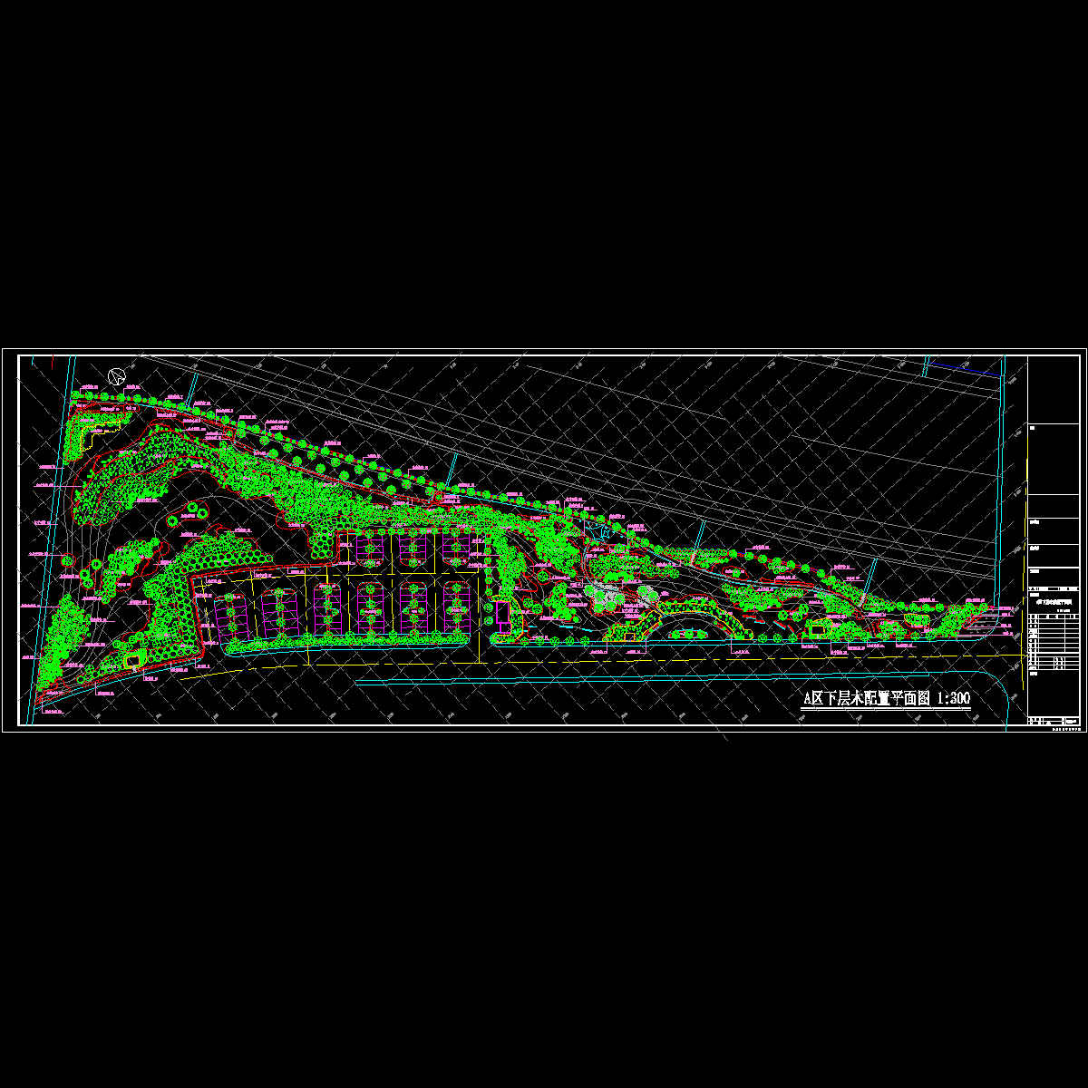 a区下层木完成.dwg